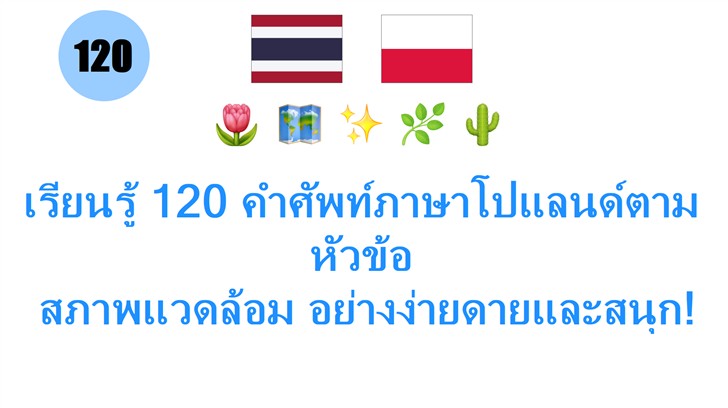 เรียนรู้ 120 คำศัพท์ภาษาโปแลนด์ตามหัวข้อ: สภาพแวดล้อม อย่างง่ายดายและสนุก!